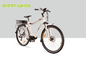 Electric Powered Mid Motor Electric Mountain Bike 10.4Ah Shimano RD-TX55 supplier